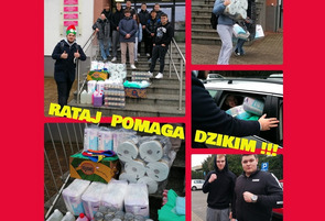 RATAJCZAK  POMAGA  DZIKIM!